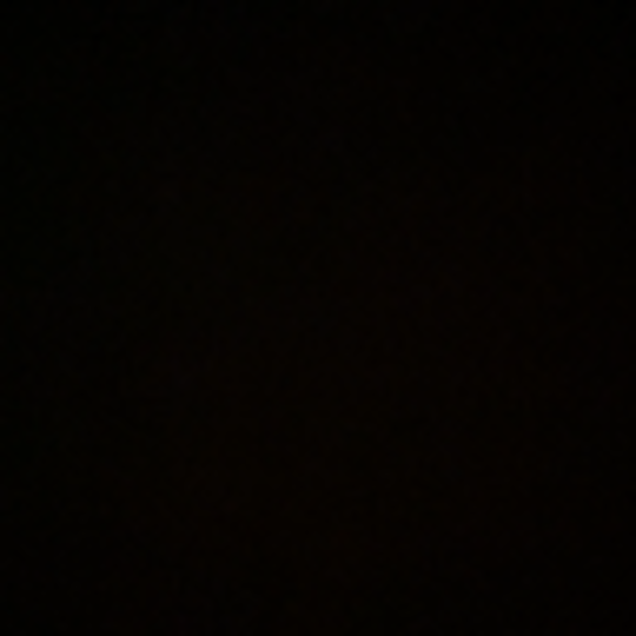 shakana_n